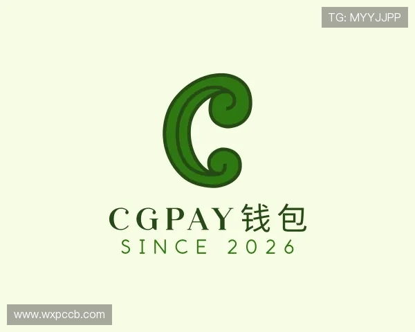 了解CGPay